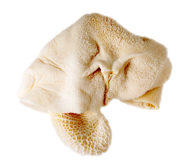 Tripe Beef 1Lb